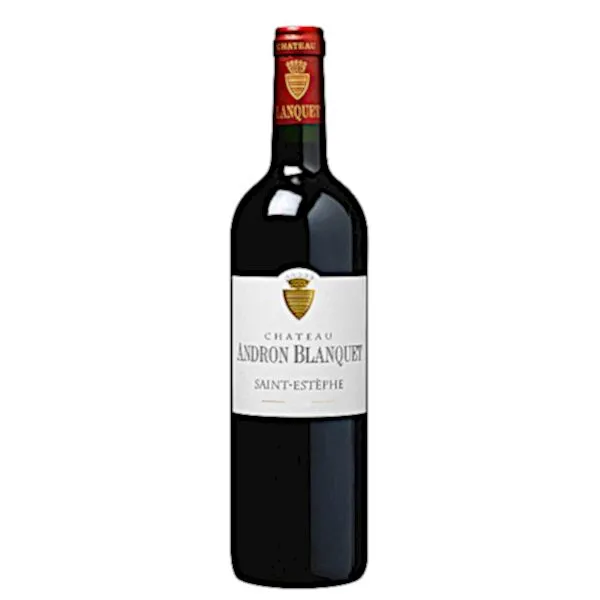 Chateau Andron-Blanquet Saint-Estephe AOC 2013