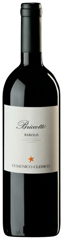 Domenico Clerico Barolo "Briccotto" 2009 Magnum