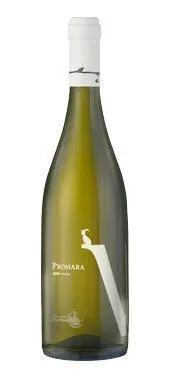 Vouni Panayia Promara 2019