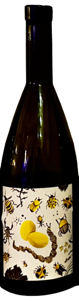 Vouni Panayia Symbiosis Vasilissa 2021