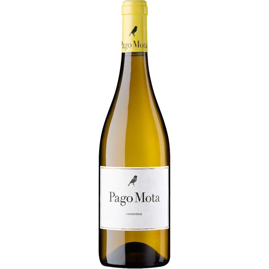 Bodegas Arzuaga Pago Mota 2023