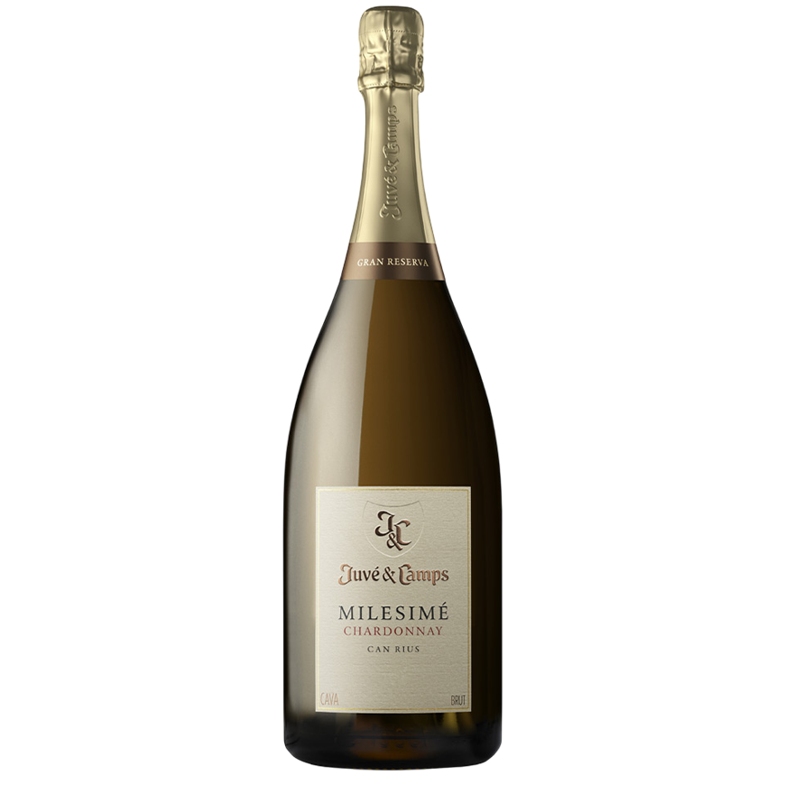 Juve & Camps Milesime Chardonnay Gran Reserve Brut 2019