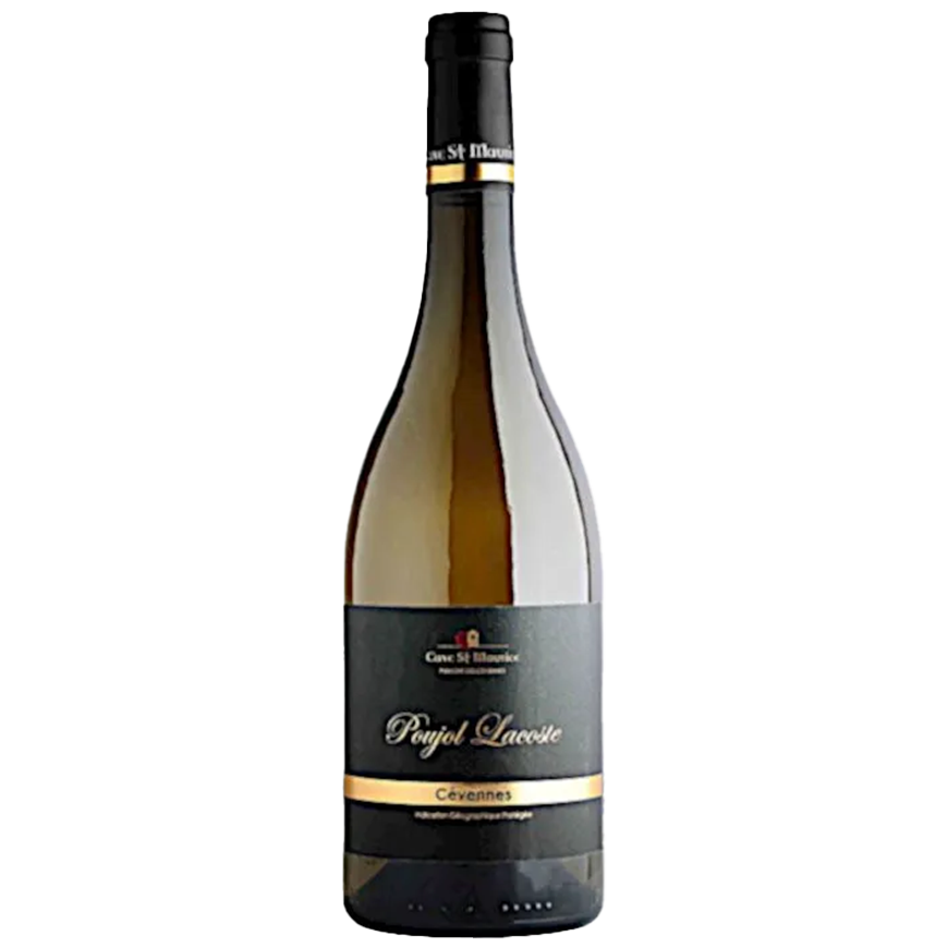 Cave St Maurice Poujol Lacoste Blanc 2019