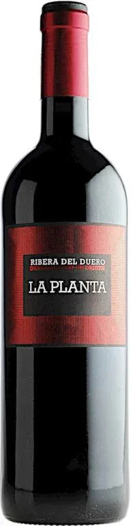 Bodegas Arzuaga La Planta 2019