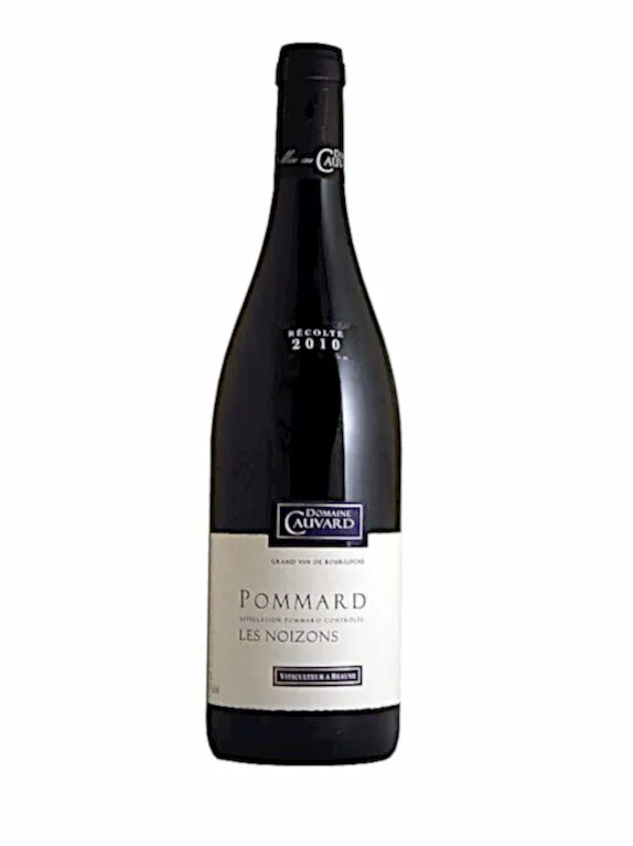 Domaine Cauvard Pommard Les Noizons Cote de Beaune AOC 2018