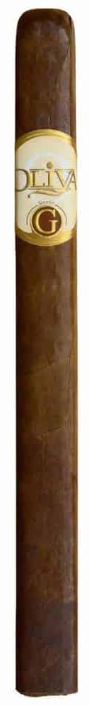 Oliva Serie G Churchill